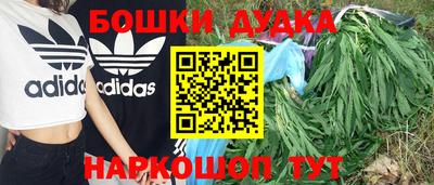 мдпв Кандалакша