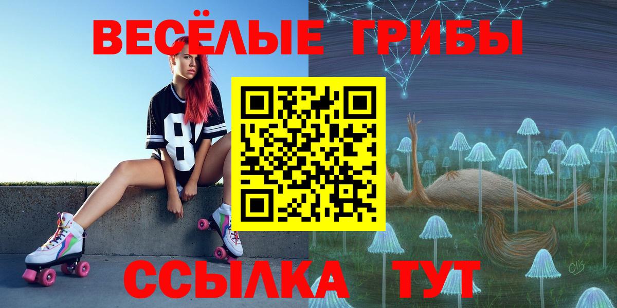 Краснокаменск  Галлюциногенные грибы ЛСД  Галлюциногенные грибы прущие грибы  Вход с VPN 